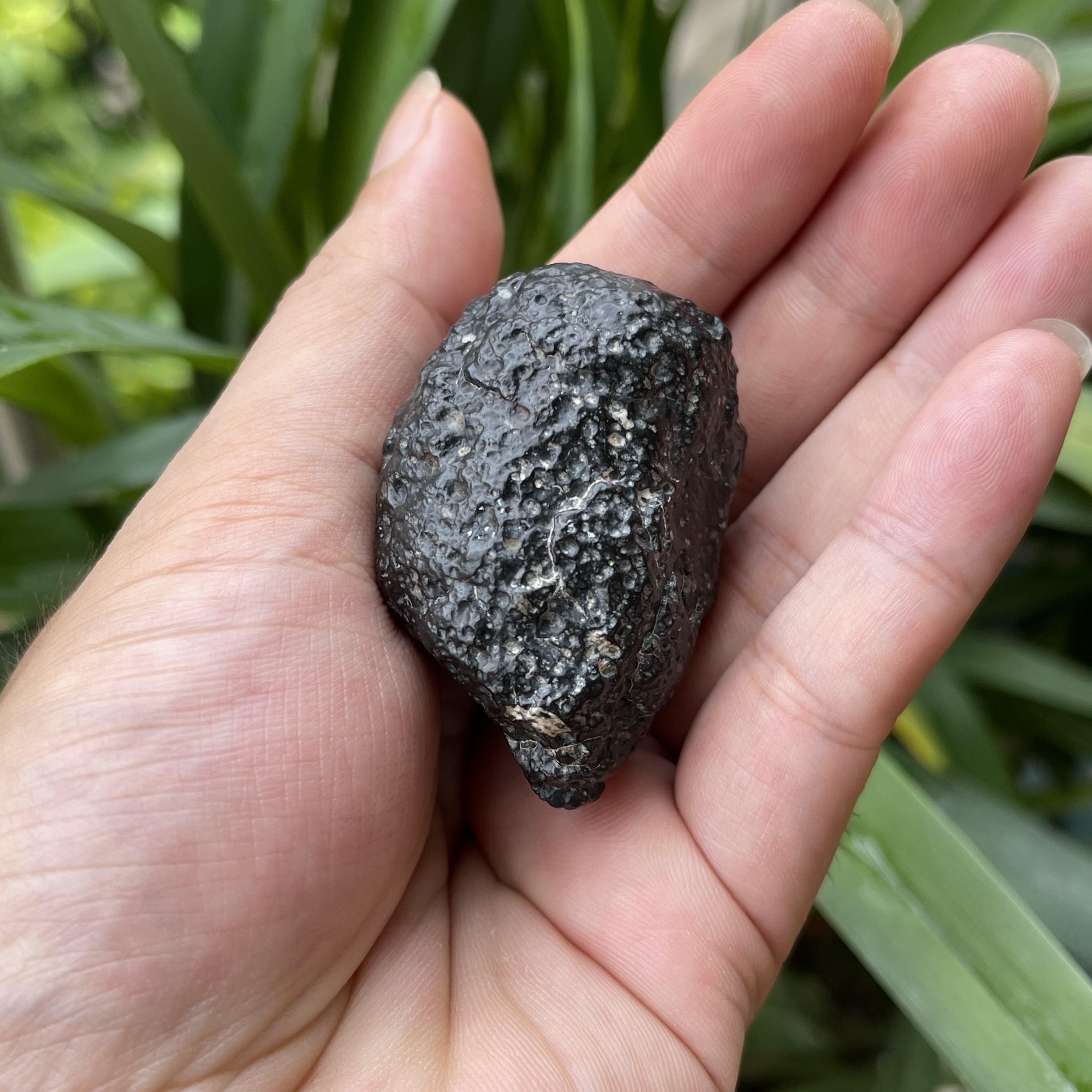 新鲜黑皮碳质球粒陨石